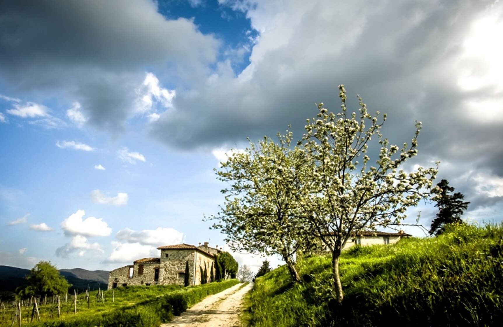 Beautiful villa to rent in Piemonte Italy villabricco