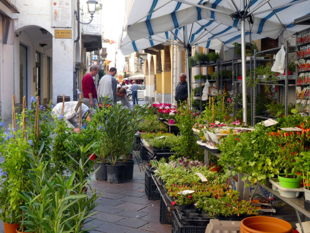 Nizza-Market-Flowers