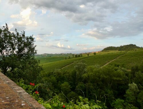 Experience Barolo